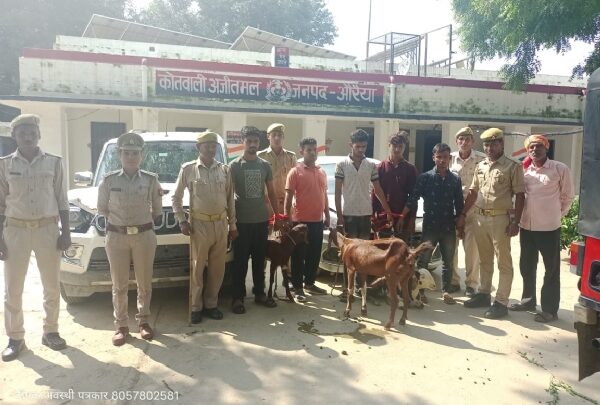 अजीतमल पुलिस ने पांच मवेशी चोरों को किया गिरफ्तार