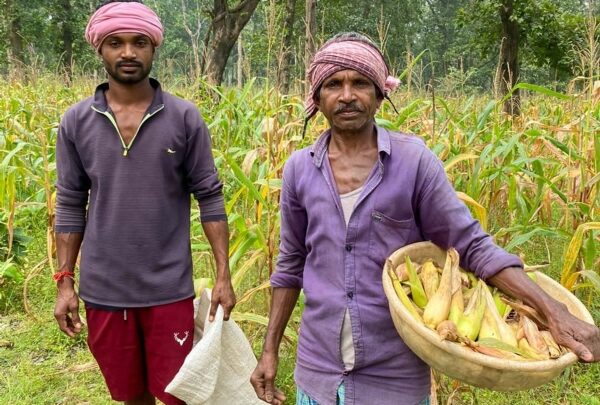 RAIPUR : मक्के की खेती से सालिक राम हुआ आर्थिक रूप से सशक्त