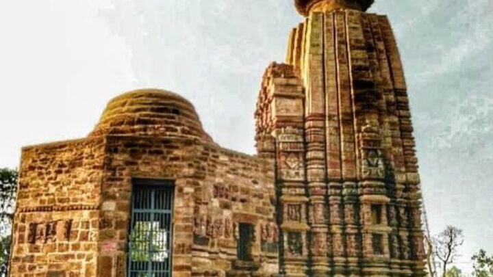 KORBA : इन जगहों पर “पाली महोत्सव” का होगा कोरबा शहर में सीधा प्रसारण, जानें…
