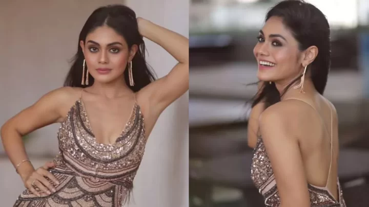 शादी से पहले और हसीन हुईं Sreejita De, बैकलेस ड्रेस में किलर लुक से बढ़ाया इंटरनेट का तापमान