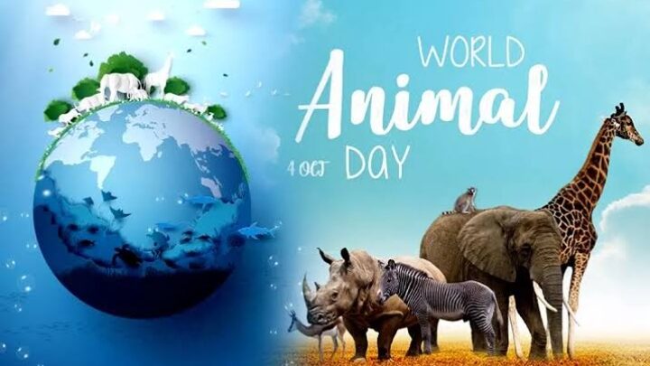 World Animal Welfare Day 2023: वर्ल्ड एनिमल डे क्यों मनाया जाता है ? जाने इस दिन का इतिहास और थीम..