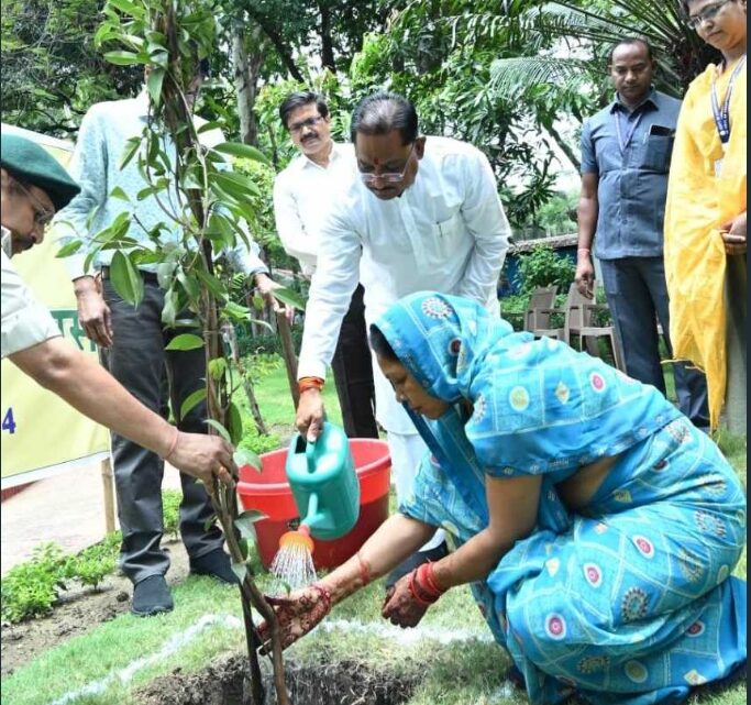 मुख्यमंत्री साय की विशेष पहल : बस्तर अंचल में आस्था के केन्द्रों पर होगी हरियाली..