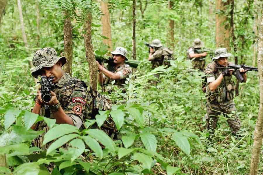 एक साथ पेट्रोलिंग कर रही महाराष्ट्र, मध्य प्रदेश और छत्तीसगढ़ पुलिस एक साथ पेट्रोलिंग कर रही महाराष्ट्र, मध्य प्रदेश और छत्तीसगढ़ पुलिस