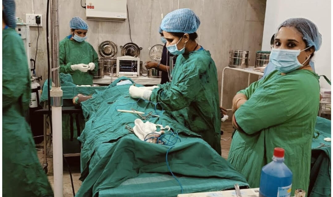 गरियाबंद जिला अस्पताल में 8 महिलाओं की सफल नसबंदी गरियाबंद जिला अस्पताल में 8 महिलाओं की सफल नसबंदी