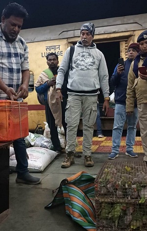 तोता तस्करी का आरोपी गिरफ्तार तोता तस्करी का आरोपी गिरफ्तार