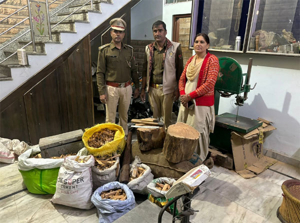 लाल चंदन की तस्करी का भंडाफोड़, 100 किलो लकड़ी जब्त लाल चंदन की तस्करी का भंडाफोड़, 100 किलो लकड़ी जब्त
