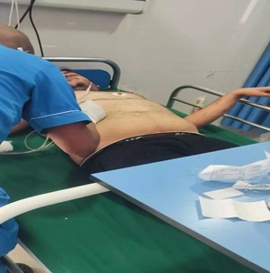 दर्शन करने पहुंचे श्रद्धालुओं पर मधुमक्खियों ने किया हमला, 10 गंभीर दर्शन करने पहुंचे श्रद्धालुओं पर मधुमक्खियों ने किया हमला, 10 गंभीर