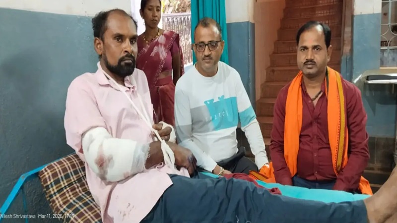 भालुओं के हमले में सफाई कर्मी घायल, राहगीरों ने पहुँचाया अस्पताल भालुओं के हमले में सफाई कर्मी घायल, राहगीरों ने पहुँचाया अस्पताल