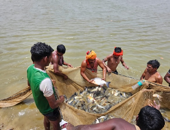 मछली पालकर दिनेश कमा रहे है सालाना 9 लाख रुपये की आमदनी मछली पालकर दिनेश कमा रहे है सालाना 9 लाख रुपये की आमदनी