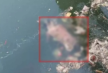 नहर में मिली ठेकेदार की लाश, फैली सनसनी नहर में मिली ठेकेदार की लाश, फैली सनसनी