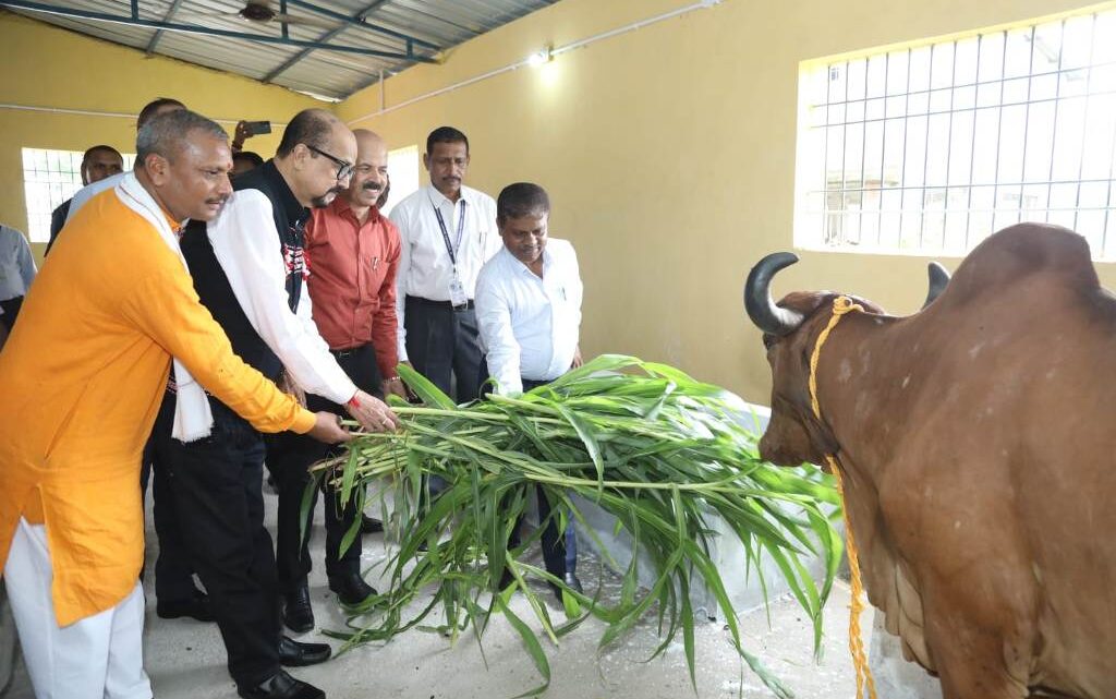 राज्यपाल ने किया गौशाला का लोकार्पण, महिला स्व सहायता समूह से की चर्चा राज्यपाल ने किया गौशाला का लोकार्पण, महिला स्व सहायता समूह से की चर्चा