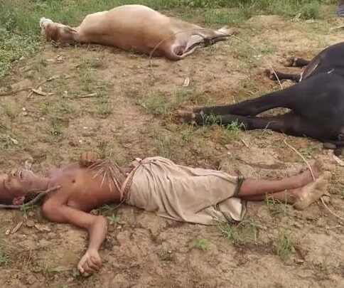 रायगढ़: करंट तार की चपेट में आने से एक ग्रामीण व 2 बैल की मौत,मवेशी चराने के दौरान हुआ हादसा…