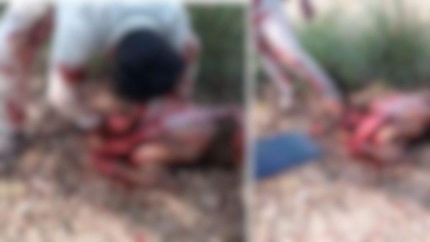 OMG! गौवंश तस्करों में पैसों को लेकर आपस में खूनी संघर्ष, एक का काटा गला और Video बनाकर किया वायरल… OMG! गौवंश तस्करों में पैसों को लेकर आपस में खूनी संघर्ष, एक का काटा गला और Video बनाकर किया वायरल…