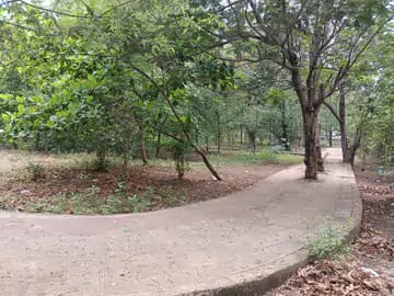 त्रिफला गार्डन में सुविधाओं का अभाव, स्थानीय लोगों में आक्रोश त्रिफला गार्डन में सुविधाओं का अभाव, स्थानीय लोगों में आक्रोश