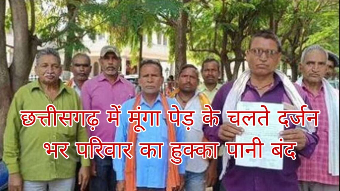 मुनगा पेड़ के विवाद ने 14 परिवारों को पहुंचाया बहिष्कार के कगार पर मुनगा पेड़ के विवाद ने 14 परिवारों को पहुंचाया बहिष्कार के कगार पर