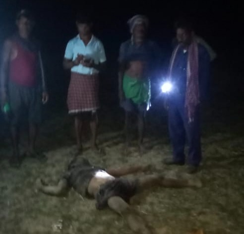 हाथी के कुचलने से युवक की मौत, दहशत हाथी के कुचलने से युवक की मौत, दहशत
