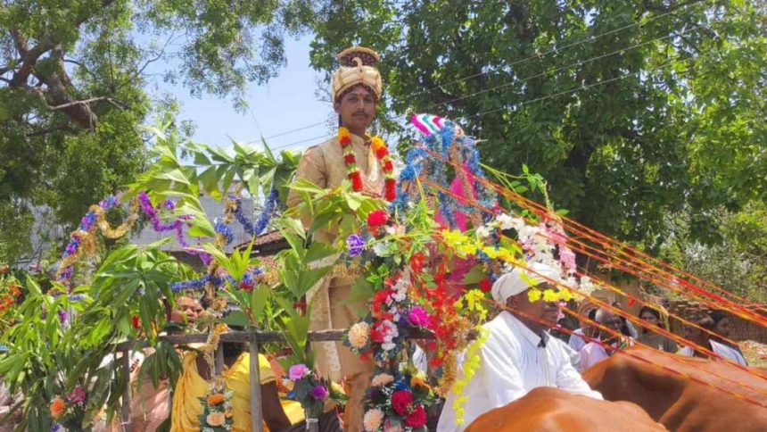 छत्तीसगढ़ में बैलगाड़ी से निकली बस चालक की बारात